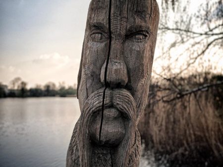 Gifhorn Wood Faces IV