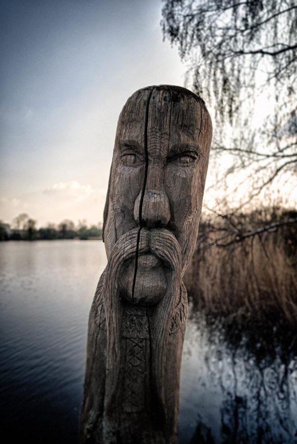 Gifhorn Wood Faces IV