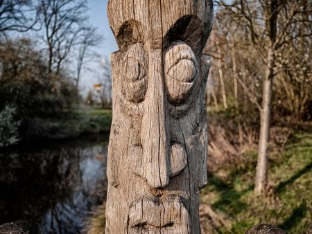 Gifhorn Wood Faces IX