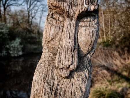 Gifhorn Wood Faces X