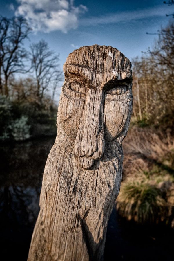 Gifhorn Wood Faces X