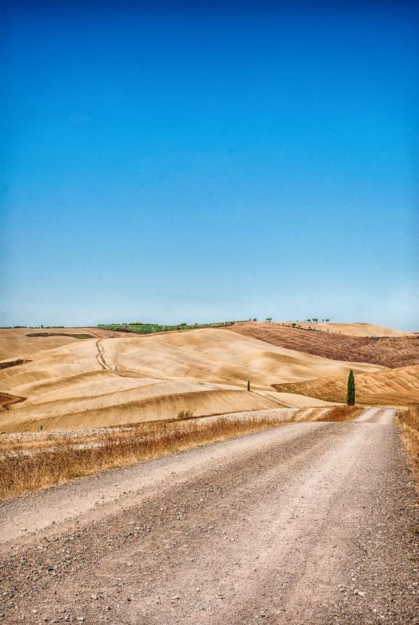 Val d'Orcia road and cypress