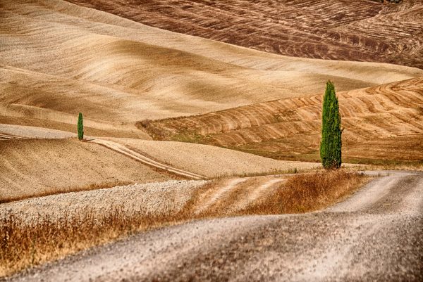 Val d'Orcia road fields and cypress