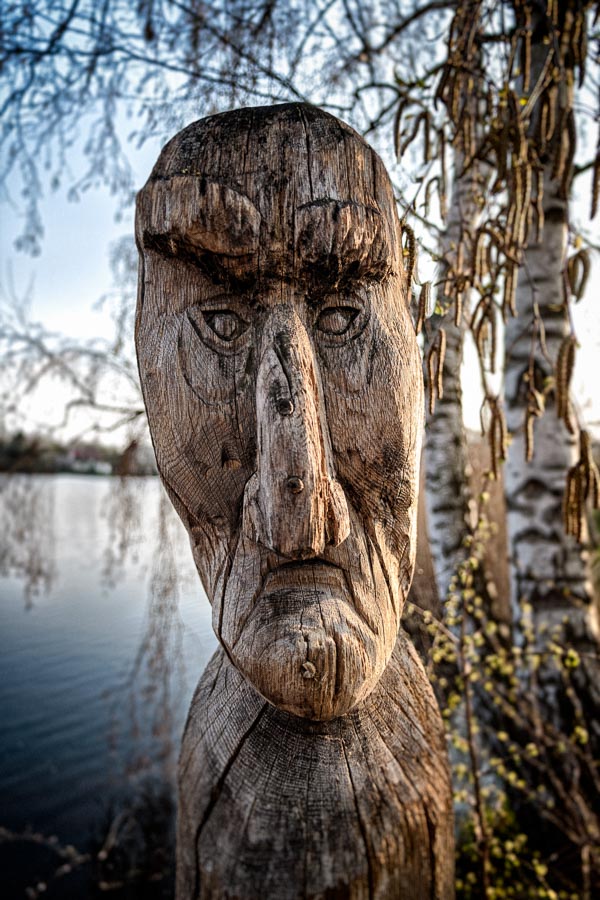 Wood Faces Category Image